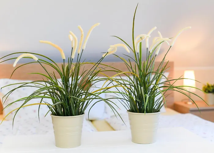 Urlaubs-apartments An Der Quelle アパート *